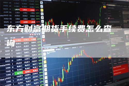 东方财富期货手续费怎么查询