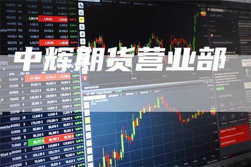 中辉期货营业部