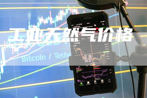 工业天然气价格