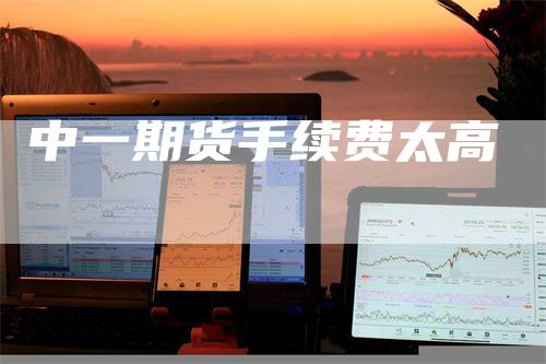 中一期货手续费太高