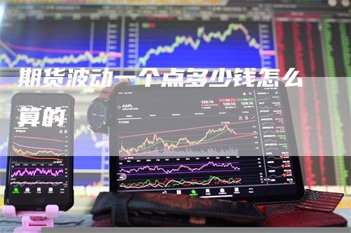 期货波动一个点多少钱怎么算的