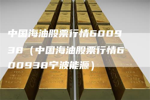 中国海油股票行情600938（中国海油股票行情600938宁波能源）
