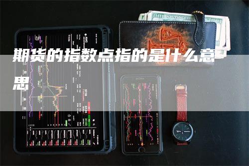 期货的指数点指的是什么意思