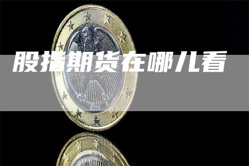 股指期货在哪儿看