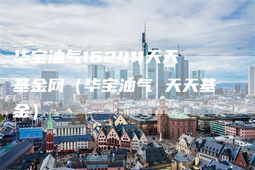 华宝油气162411天天基金网（华宝油气 天天基金）