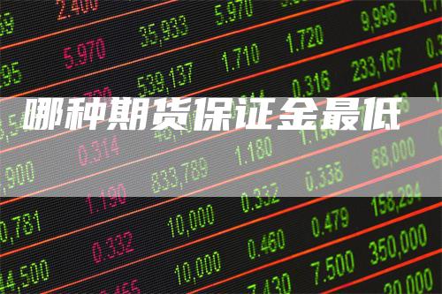 哪种期货保证金最低