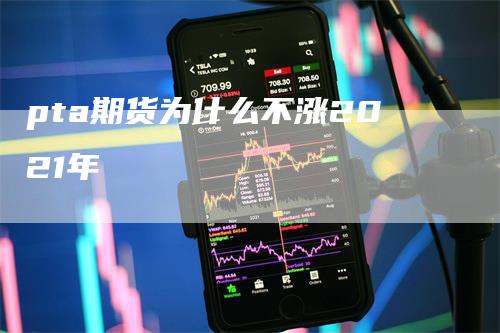 pta期货为什么不涨2021年