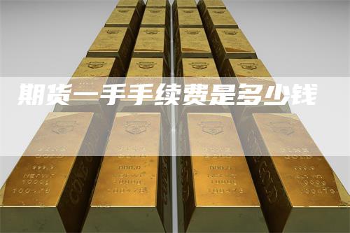 期货一手手续费是多少钱