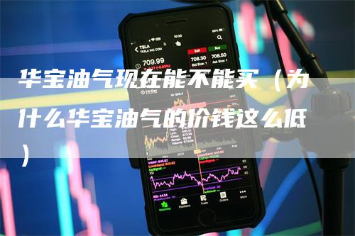 华宝油气现在能不能买（为什么华宝油气的价钱这么低）