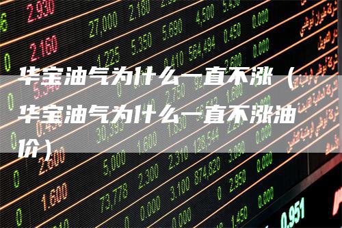 华宝油气为什么一直不涨（华宝油气为什么一直不涨油价）