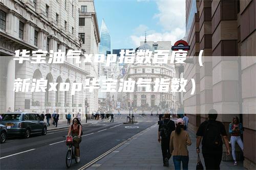 华宝油气xop指数百度（新浪xop华宝油气指数）