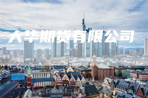 大华期货有限公司
