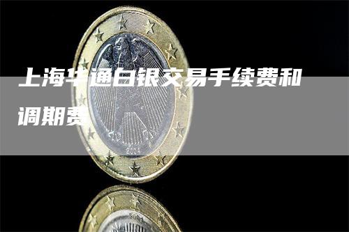 上海华通白银交易手续费和调期费