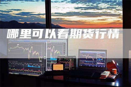 哪里可以看期货行情
