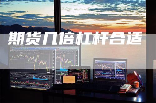 期货几倍杠杆合适