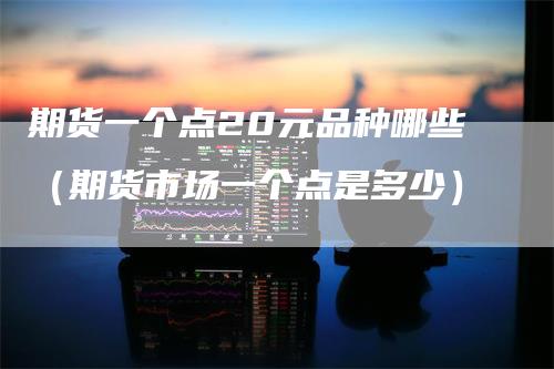 期货一个点20元品种哪些（期货市场一个点是多少）