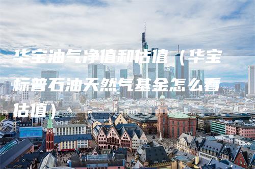 华宝油气净值和估值（华宝标普石油天然气基金怎么看估值）