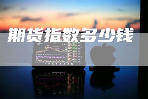 期货指数多少钱