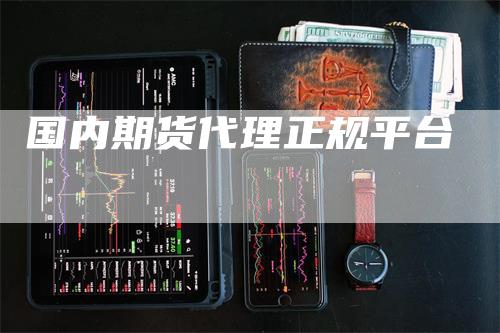 国内期货代理正规平台