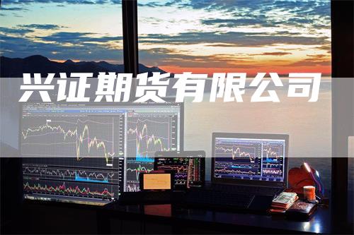 兴证期货有限公司