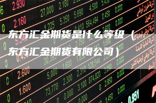 东方汇金期货是什么等级（东方汇金期货有限公司）