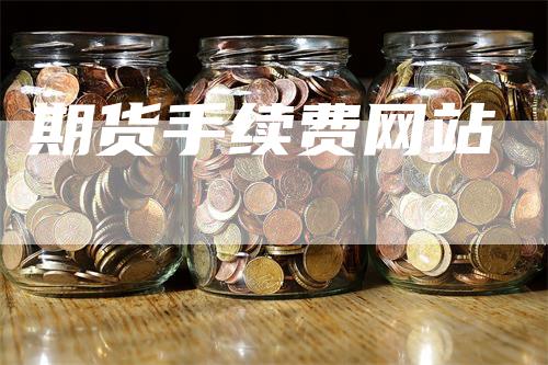 期货手续费网站