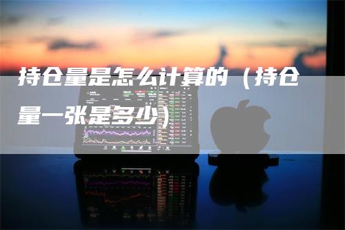 持仓量是怎么计算的（持仓量一张是多少）