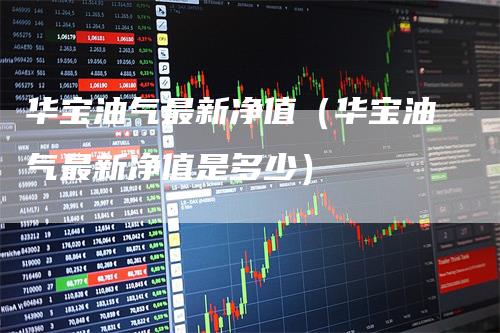 华宝油气最新净值（华宝油气最新净值是多少）