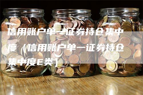 信用账户单一证券持仓集中度（信用账户单一证券持仓集中度E类）